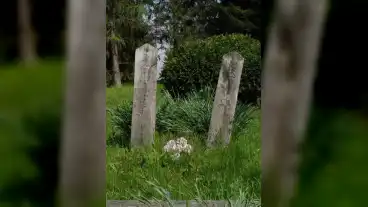 Kirandulastervezo Velemer Sokfas Temeto