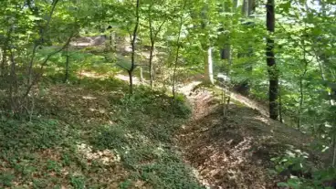 Kirandulastervezo Ven Fak Osvenye