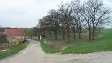 Kirandulastervezo Venek Aranyliget