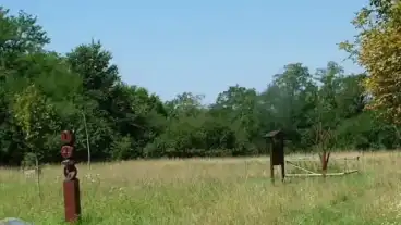 Kirandulastervezo Viszak Lugos Emlekhely