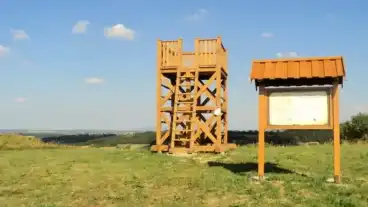 Kirandulastervezo Zalaber Szolohegyi Tanosveny