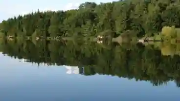 Kirandulastervezo Zalalovo Borostyan To 1