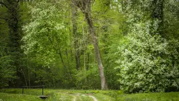 Kiscsehi Budafai Arboretum 1