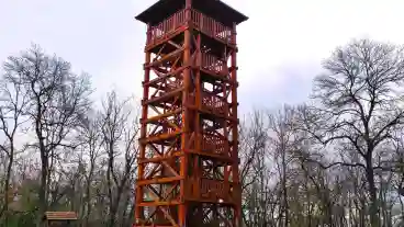 Kiskunfelegyhaza Kilato 1