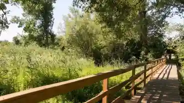 Kiskunhalas Fejeteki Mocsar Tanosveny