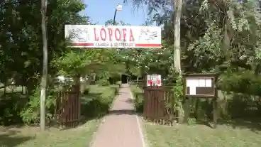 Kiskunmajsa Lopofa Csarda 1