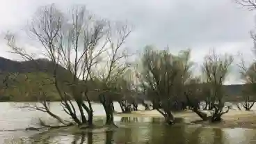 Kisoroszi Szigetcsucs 09