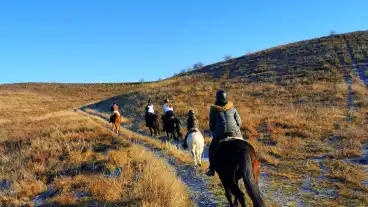 Kistarcsa Deres Lovasudvar 1