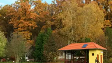 Kistolmacs Erdei Vasut