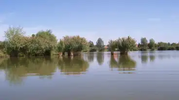 Kiszombor Valyogos Horgaszto