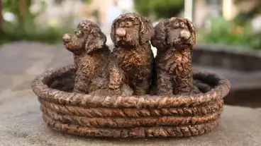 Kolodko Egyszer Volt Budan Kutyavasar 1