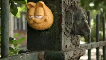Kolodko Garfield