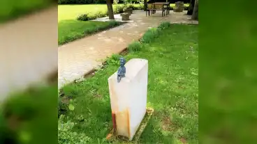 Kolodko Grof Konyvtara