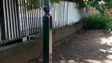 Kolodko Ii Rakoczi Ferenc