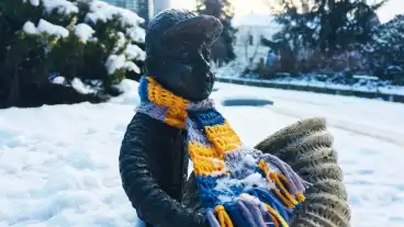 Kolodko Utcaszenesz 1