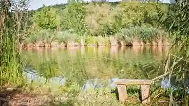 Koroshegy Horgaszto 1