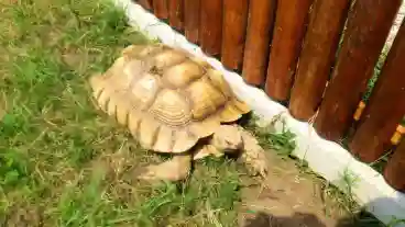 Koroshegy Teknospark 1