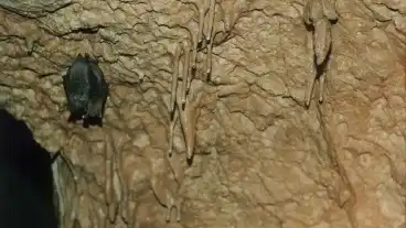 Kosd Nasznep Barlang 1