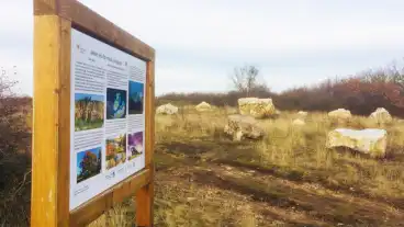 Koszarhegy Szar Hegy Tanosveny 06