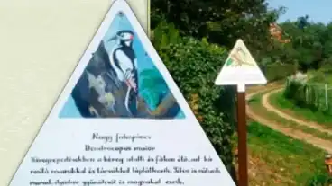 Koszeg Kiralyvolgyi Termeszetvedelmi Tanosveny