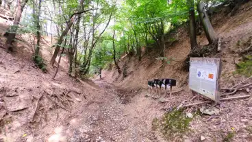 Koszeg Ordogarok Tanosveny 1