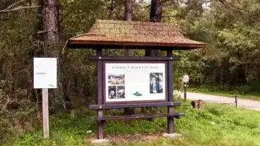 Kup Tallos Pal Tanosveny