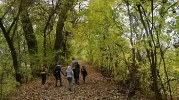 Lakitelek Kontyvirag Tanosveny