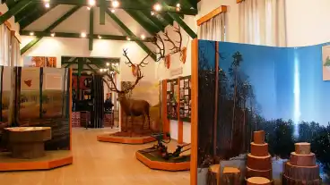 Lenti Vasuttirteneti Kiallitas 1