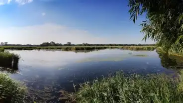 Lipot Holt Duna Tanosveny