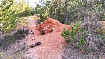 Lovas Oskori Festekbanya 1