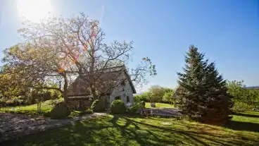 Lovasbereny Dio Liget 1