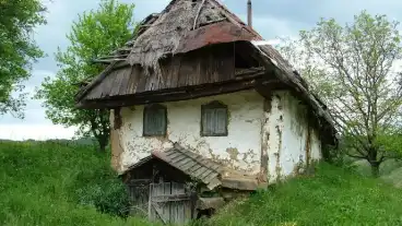 Lovaszi Kankalin Tanosveny 1