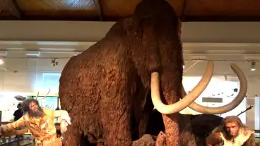 Magyar Termeszettudomanyi Muzeum 001