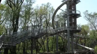 Mako Lombkorona Setany 01