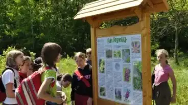 Marokpapi Csiperke Tanosveny