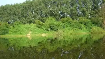 Matyus Rozsas Holtag