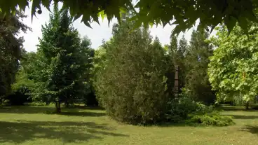 Medgyeshaza Csanad Vezer Emlekpark