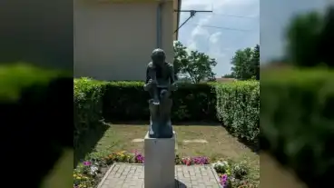 Medgyeshaza Olvaso Fiu