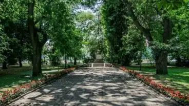 Medgyeshaza Orszagzaszlo