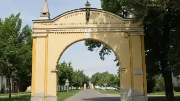 Mezohegyes Deli Diadaliv