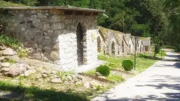 Mikohaza Bor Es Palinka Tanosveny