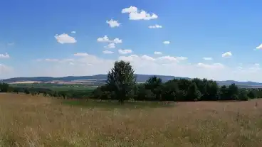 Mikohaza Parlagi Sas Tanosveny