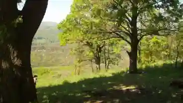 Miskolc Diosgyor Baratok Utja Tanosveny