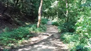 Miskolc Forras Volgyi Tanosveny