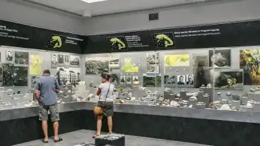 Miskolc Hermann Otto Muzeum 1