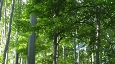 Miskolc Szinva Tanosveny