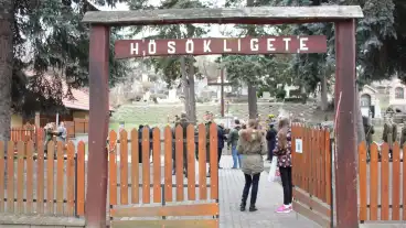 Mogyorod Hosok Ligete 1