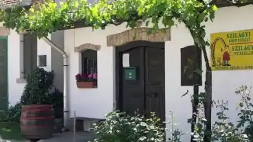 Mogyorodi Pincesor 1