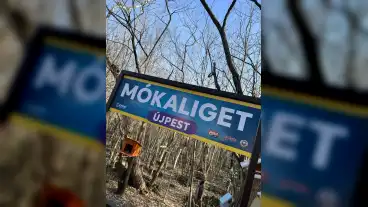 Elkészült a főváros első mókus- és madárparkja