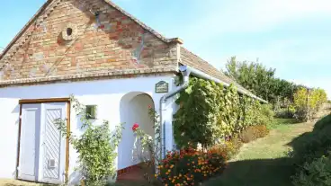 Morichida Szolohegyi Pincesor